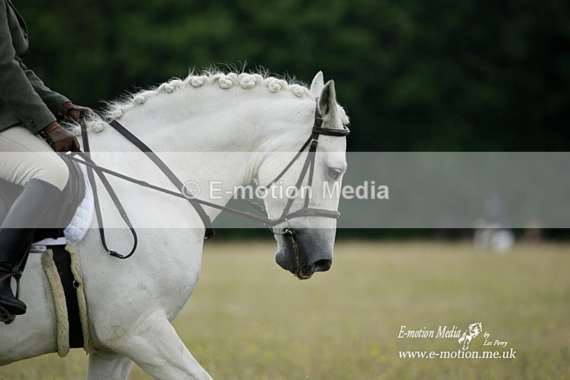 BVRC 030721 130 - Bourne Valley Riding Club Dressage 03/07/21
