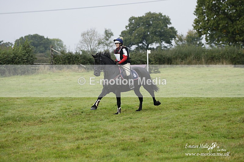  WWHT 171021 0939 - Open Novice (0.80m)  17/10/21