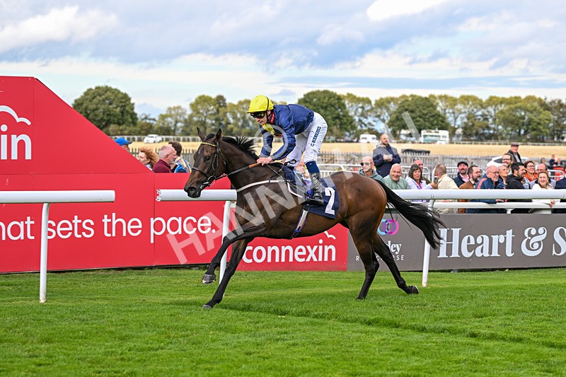 170925-Race 3-Caim-4517 - Race 3