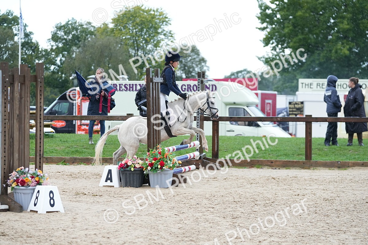 SBM_36360 - J5 - Junior Pony 50cm Championship