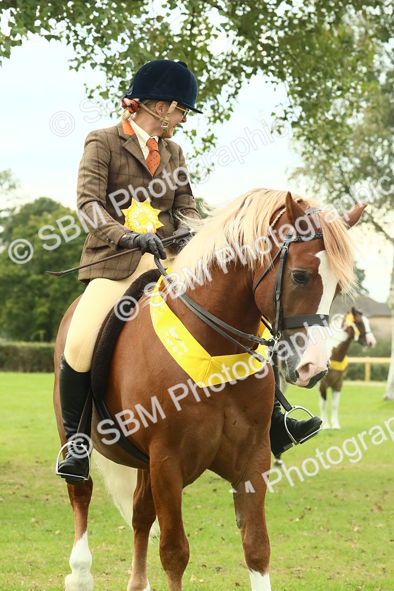 SBM_75075 - Ridden Pony Supreme Championship