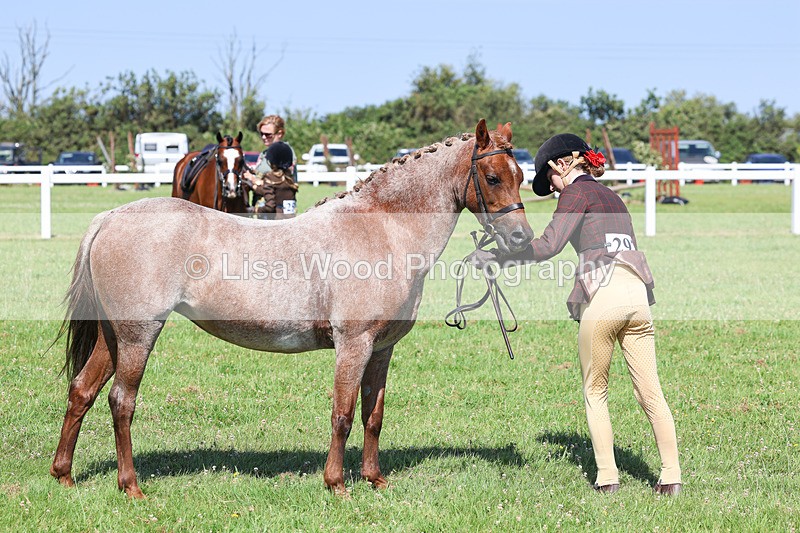 IMG_2046 - Class 34: Show Hunter Pony 153cm and under