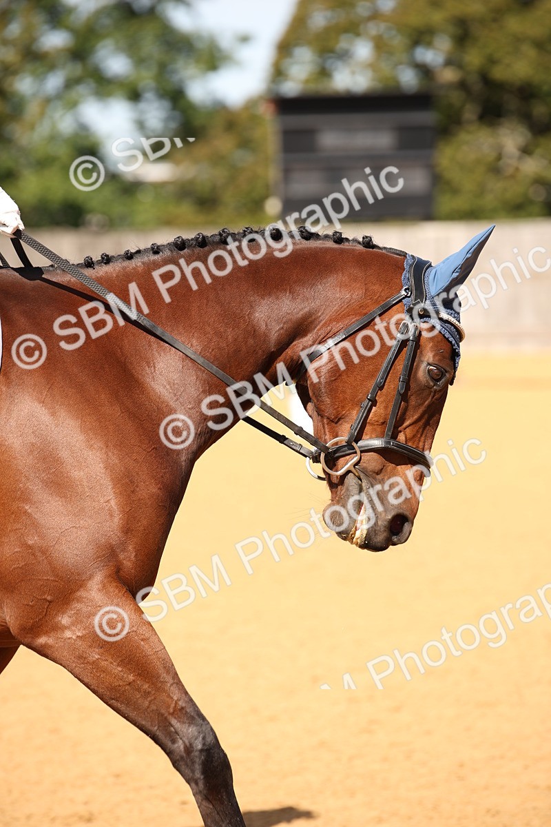 SBM_21691 - D5 - Small Tour Championship - Intro C