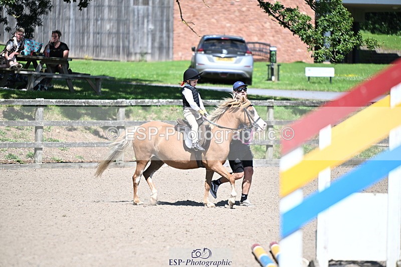 240729B-111610-02279 - Showjumping Competition