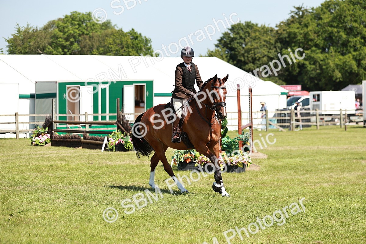 SBM_18314 - Class 112-113 - BSPS LIHS Working Sports Pony