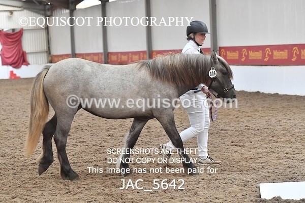 JAC_5642 - 6 Glenmuir Niamh
