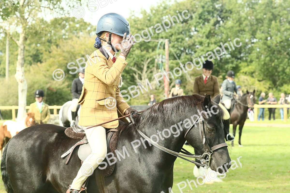 SBM_66727 - S34 - Rehabilitated Rescue Horse & Pony In Hand & Ridden