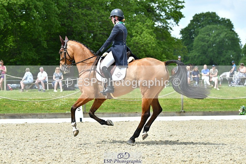 230525-120849-04180 - 206-MEXICAN_WAVE-Daisy_Bathe-WEDTrotUp+DR