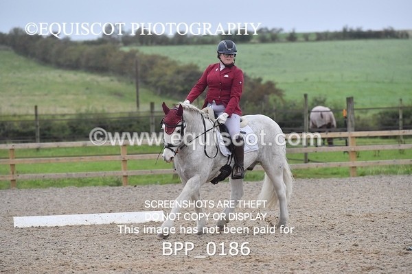 BPP_0186 - NOVICE 4 & 6