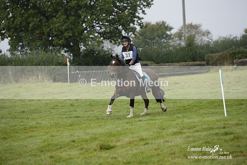 WWHT 171021 0249 - Novice Restricted (0.80m)  17/10/21