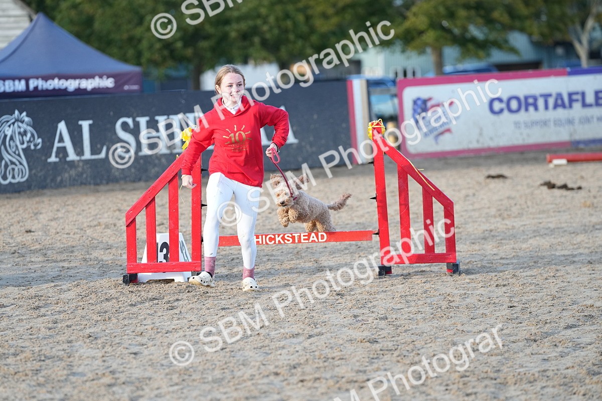 SBM_29484 - J44 - Horse & Hound Open 70cm