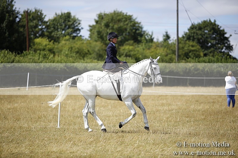 _C7A0216 - Side Saddle Classes BVRC Show 2018
