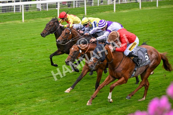 101025-Race 2-Astrazar-6349 - Race 2 British EBF £100,000 Final at York