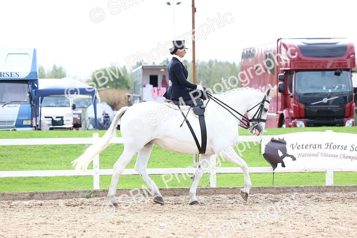 SBM_03385 - Class 24 - SSA Concours d'elegance (any age)