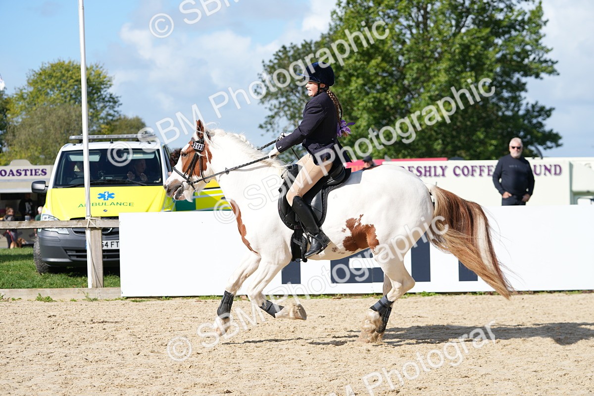 SBM_16840 - J58 - Clear Round 50cm