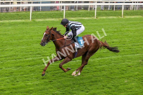 230923-Race 2-Palamon-5254 - Race 2 2.35pm jigsawsportsbranding.co.uk Handicap