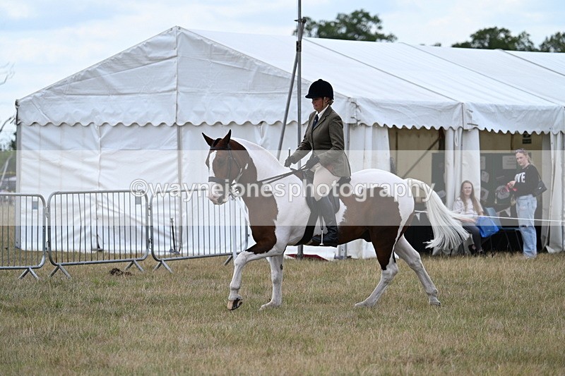 WJ7_5200 - Class 12 Ridden Cob