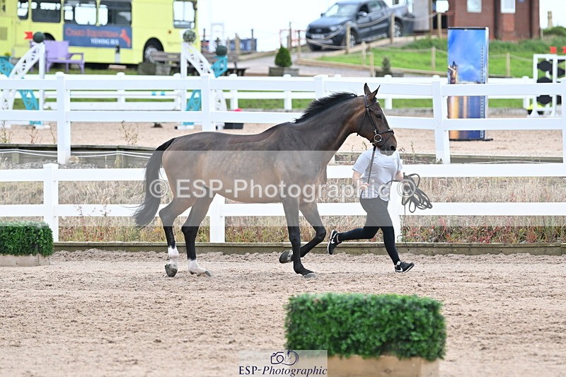 240717A-143152-02111 - Trot Up 2pm to 3pm - This folder is not in time order