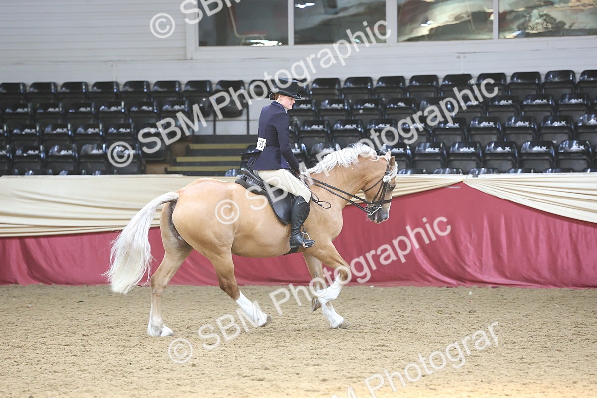 SBM_23782 - class 906 - Supreme Final - Ridden Pre Vet