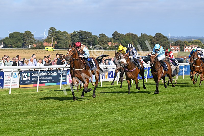 180924-Race 4-Surprised-4474 - Race 4