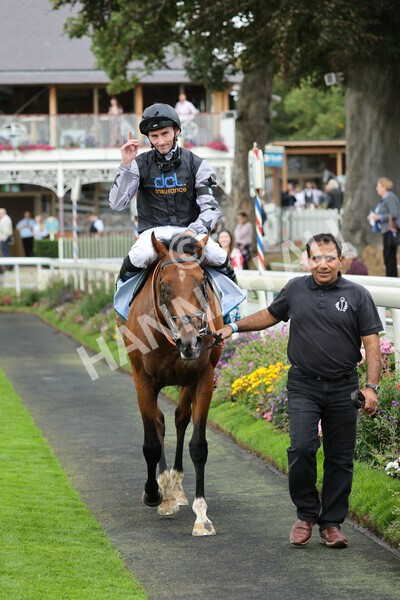 yr04092022r2-42 - Race 2 2.20pm John and Judith Marshall Memorial Stakes