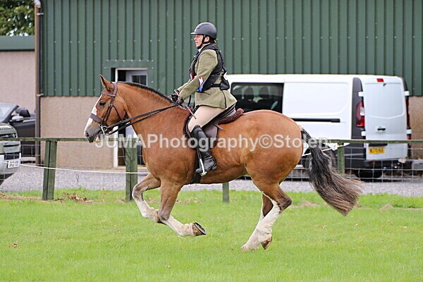 SIAL7791 - championships