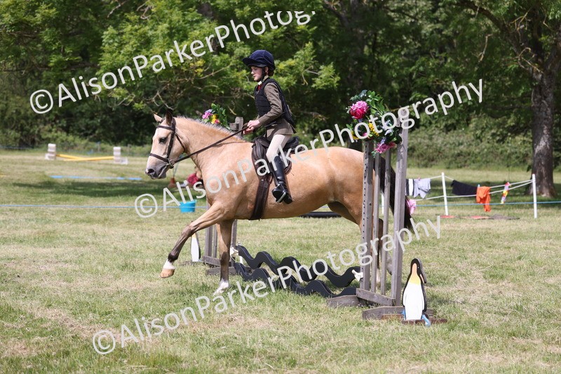20260614-1786 - Class 21 - Novice Working Hunter Pony