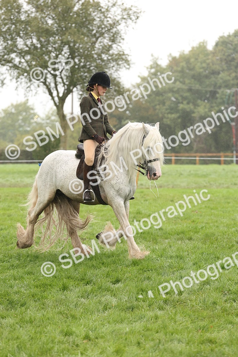 SBM_72777 - S70 - Traditional Cob Ridden