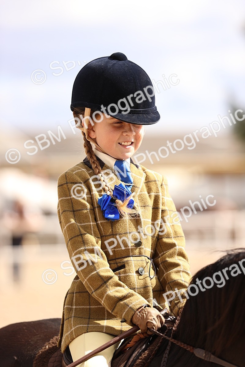 SBM_15961 - Class 416 - Prettiest Mare (IH or Ridden) Jnr