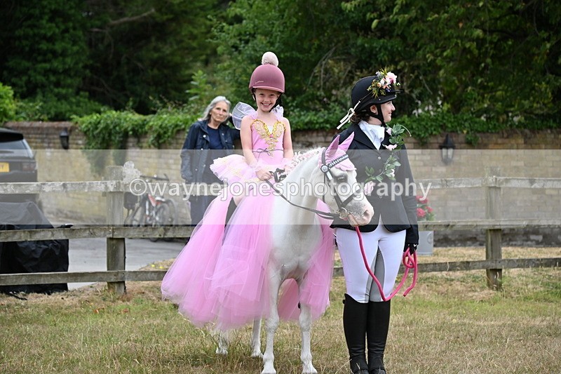 WJ6_9171 - Class 11 Fancy Dress