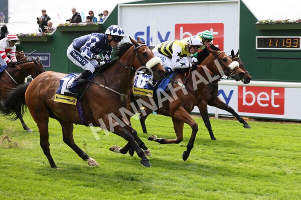 yr11052022r2-34 - Race 2 2.25pm Churchill Tyres Stakes