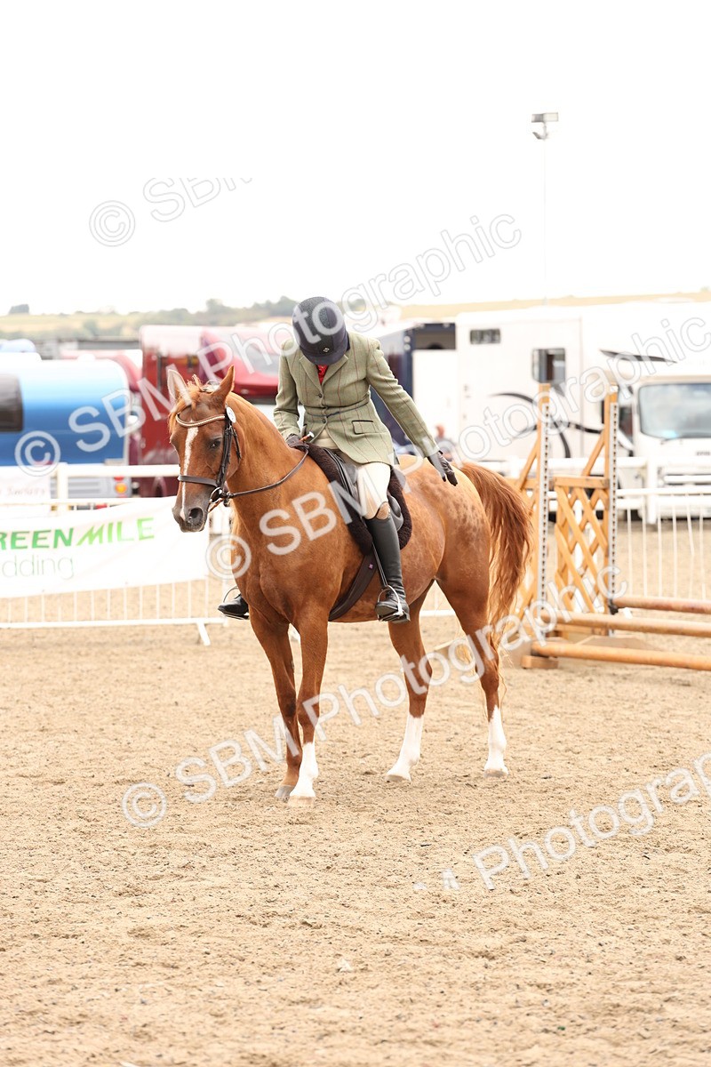 SBM_06265 - Class 57b -  Style & Performance - 60cm (20+)