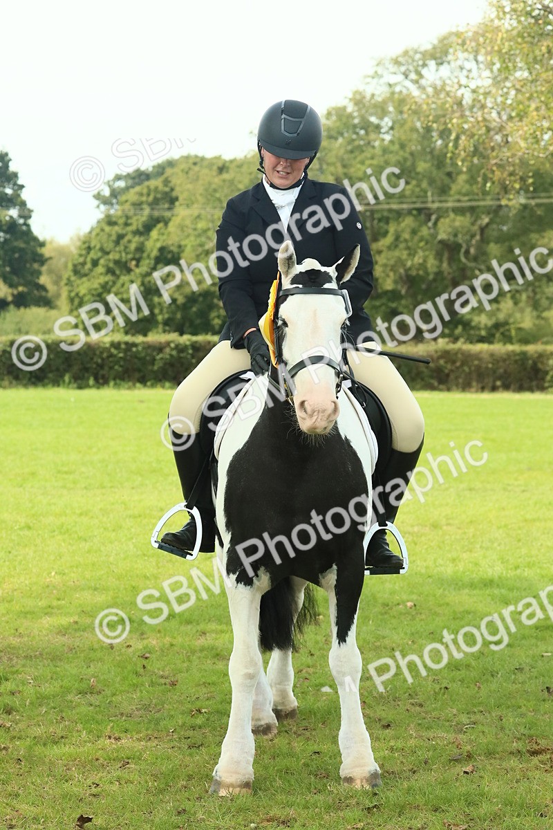 SBM_66791 - S34 - Rehabilitated Rescue Horse & Pony In Hand & Ridden