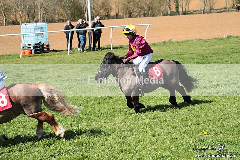 Shet 060426 182 - Shetland Pony Racing Paxford Races Easter Mon 06/04/26