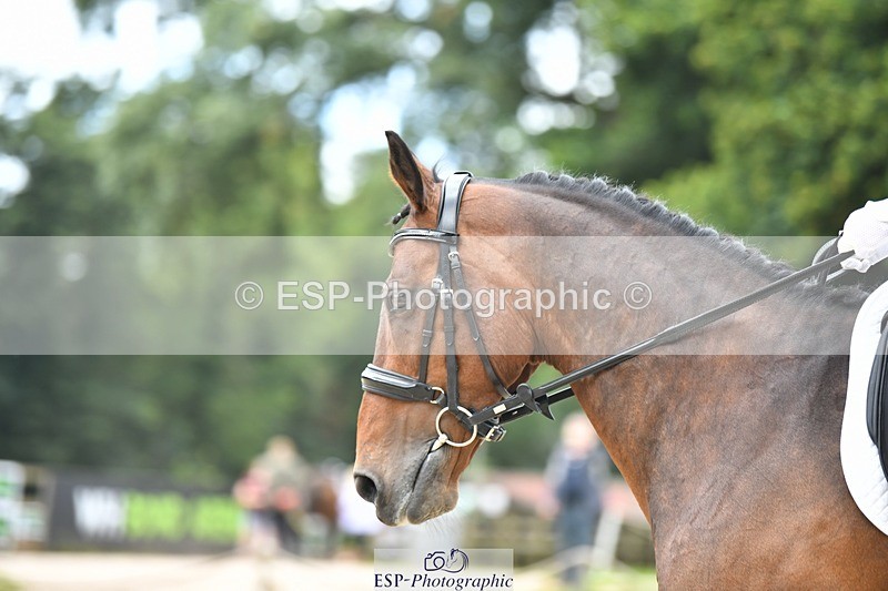 230812-130107-04262 - Cls 6 Novice Silver 12.10 to End