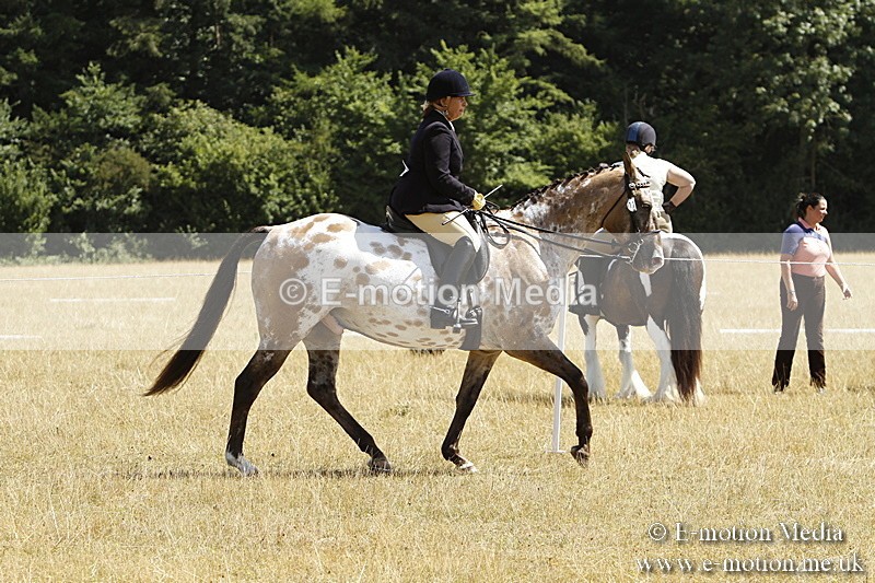 _BS_0719 - BVRC Show 2018 Ring 1