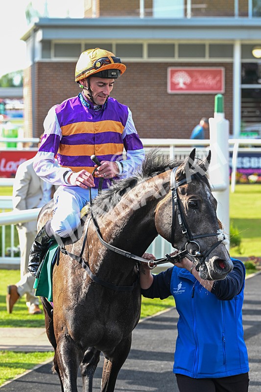 060625-Race 8-Arabian Cobra-5787 - Race 8