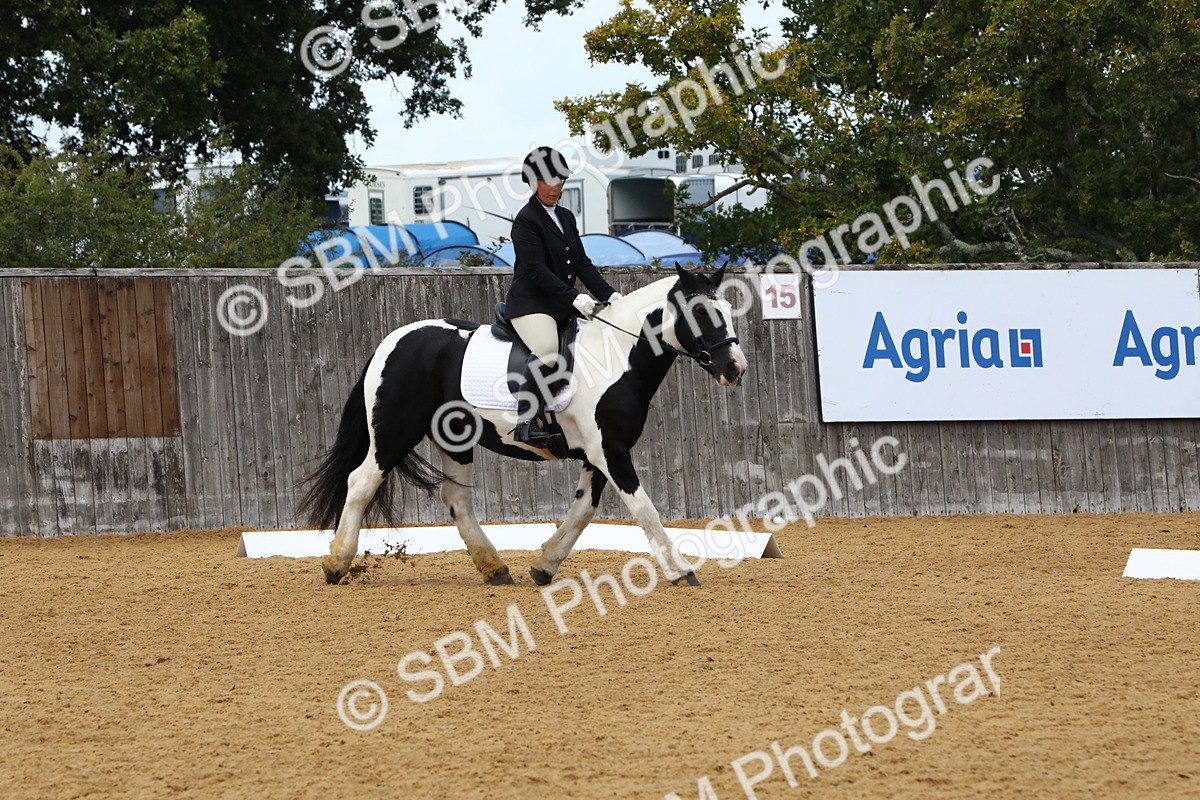 SBM_23437 - D5 - Small Tour Championshop Intro 2