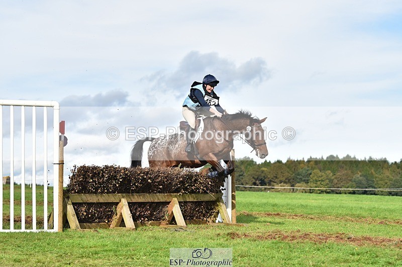 231021-142148-18892 - 482-ODDSPOT.VITAL.ELEMENT-Danielle.Davies-SC+XC