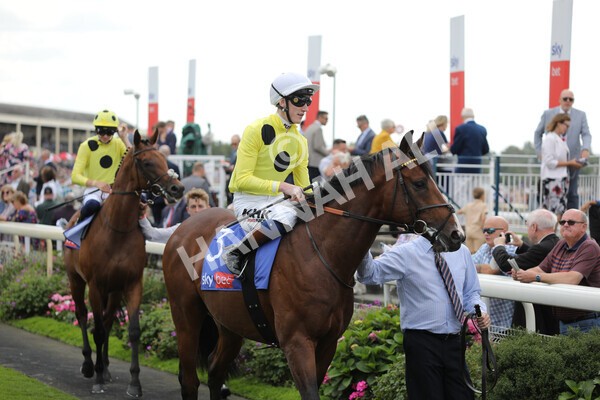 yr20082022r2-19 - Race 2 2.35pm Sky Bet Melrose Stakes