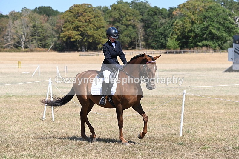 WJ6_9176 - Championship Classes 33-38