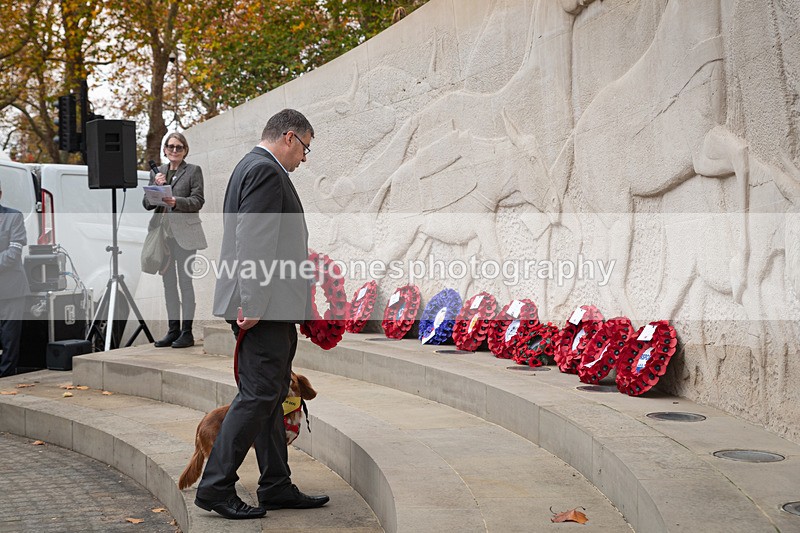 Z62_4615 - Animals In War Memorial 2025 - Park Lane, London