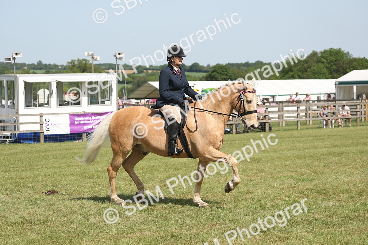 SBM_09189 - Class 31-32 - SSADL Members Challenge
