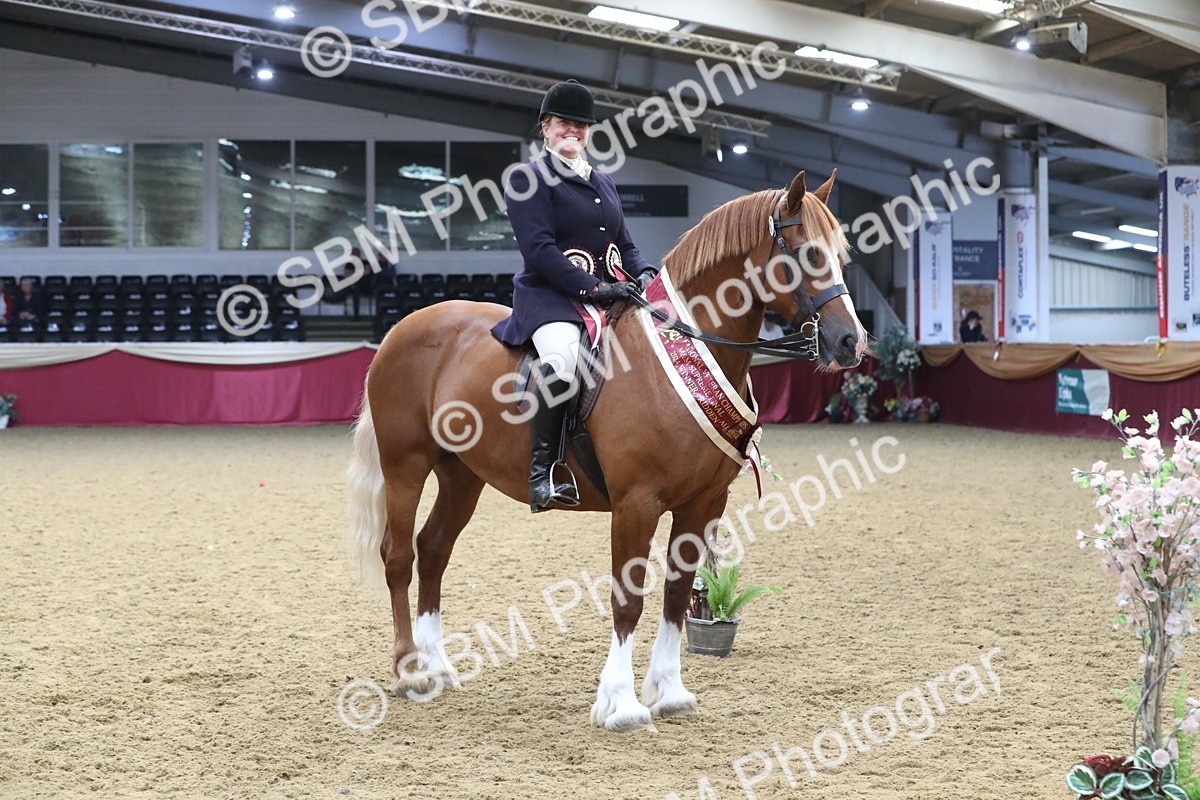 SBM_16536 - Class 502 M&M Ridden Supreme Final