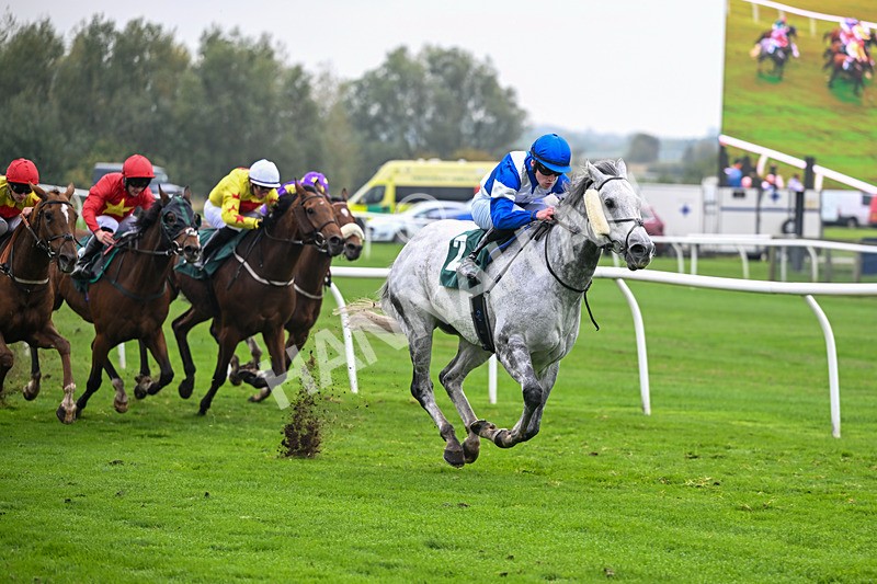 181025-Race 5-Mudamer-0844 - Race 5