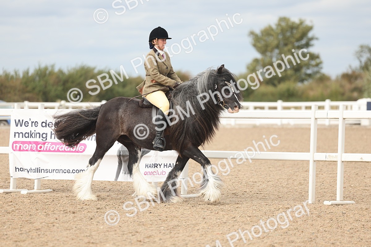 SBM_17978 - Class 314 - Family Horse Pony