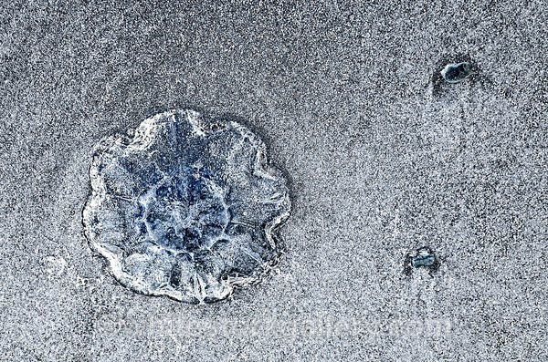  - The Sand Gallery