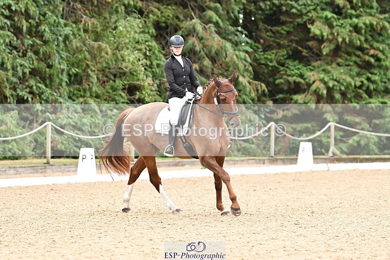 250808A-103130-00332 - 024-Daisy.Hedges-Felicia.V