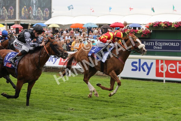 yr23072022r2-29 - Race 2 2.40pm Sky Bet Dash