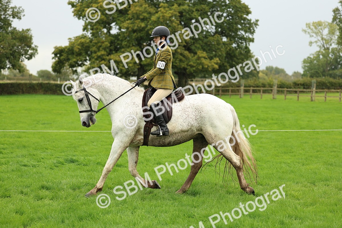 1I0A1460 - S32 - Mountain & Moorland Working Hunter Pony